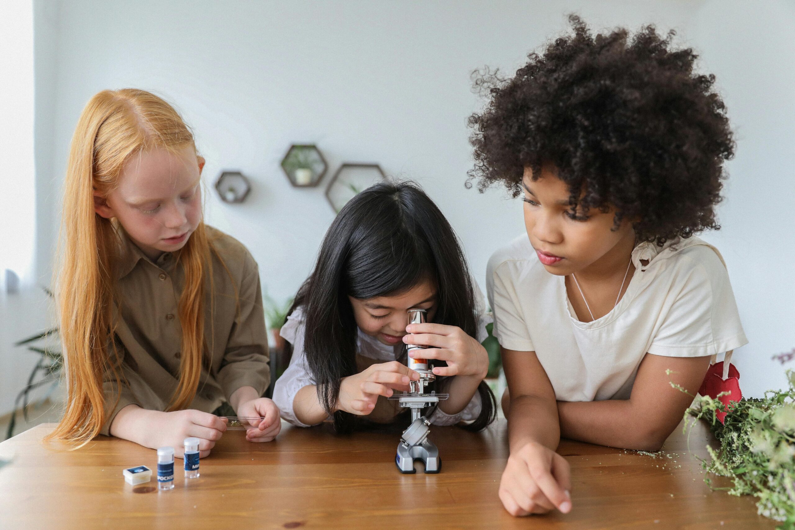 Fun Science Activities to Boost Competition Skills